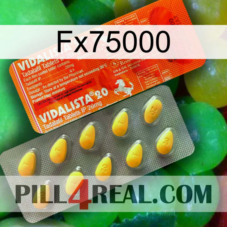 Fx75000 new01